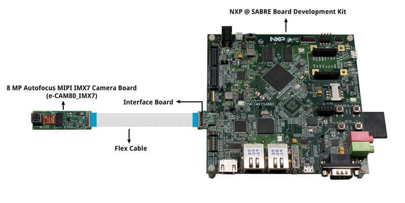e-CAM80_IMX7 is connected to i.MX7 SABRE board through a flex cable