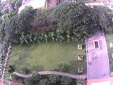 Top View