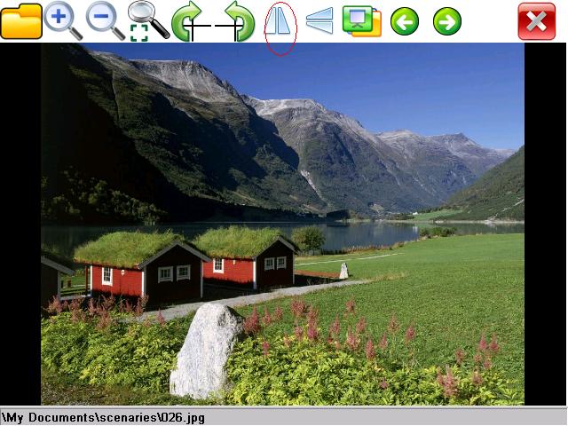 eImageViewer - Flip Horizontal