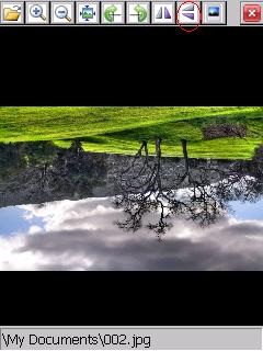 eImageViewer - FlipVertical