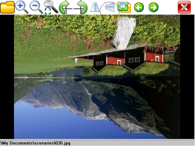  eImage Viewer - Flip Vertical