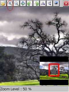 eImageViewer - Zoom In