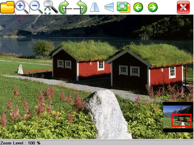 eImageViewer - Zoom In