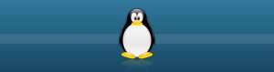 Linux-Support-MIPI-Camera