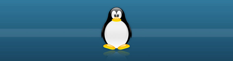 Linux-Support-MIPI-Camera