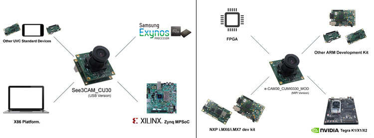 USB version and MIPI version Support