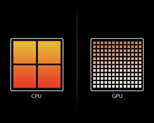 CPU & GPU