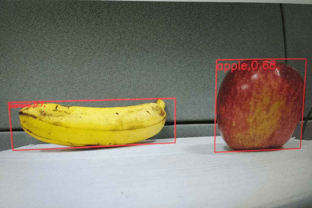 image-classification-and-detection-using-e-CAM50_CUCRL