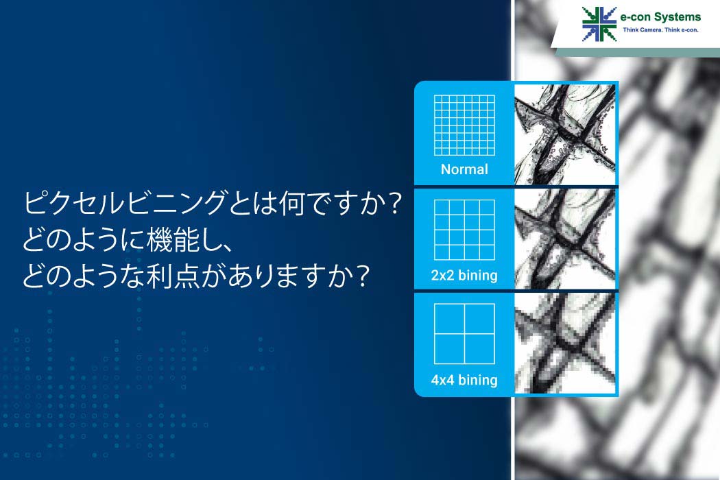 イマージュとは何ですか？