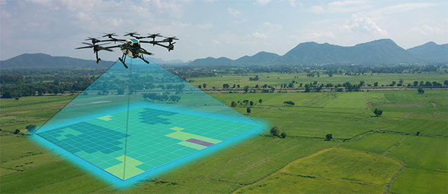 View of drone with camera pointed downward at a crop field