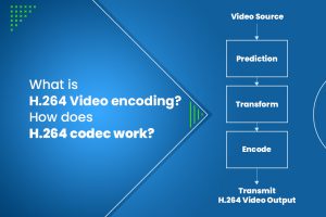 What is H.264 video encoding? How does H.264 codec work?