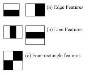 Haar features of Rainer’s model