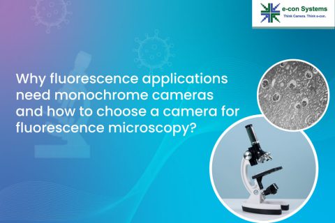 fluorescence applications need monochrome cameras