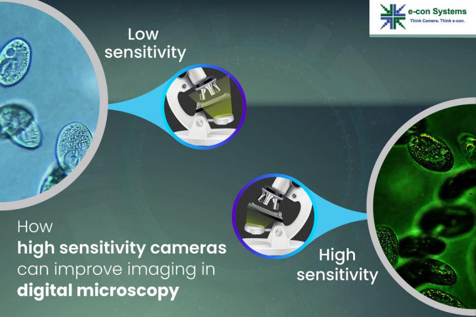 How high sensitivity cameras can improve imaging in digital microscopy