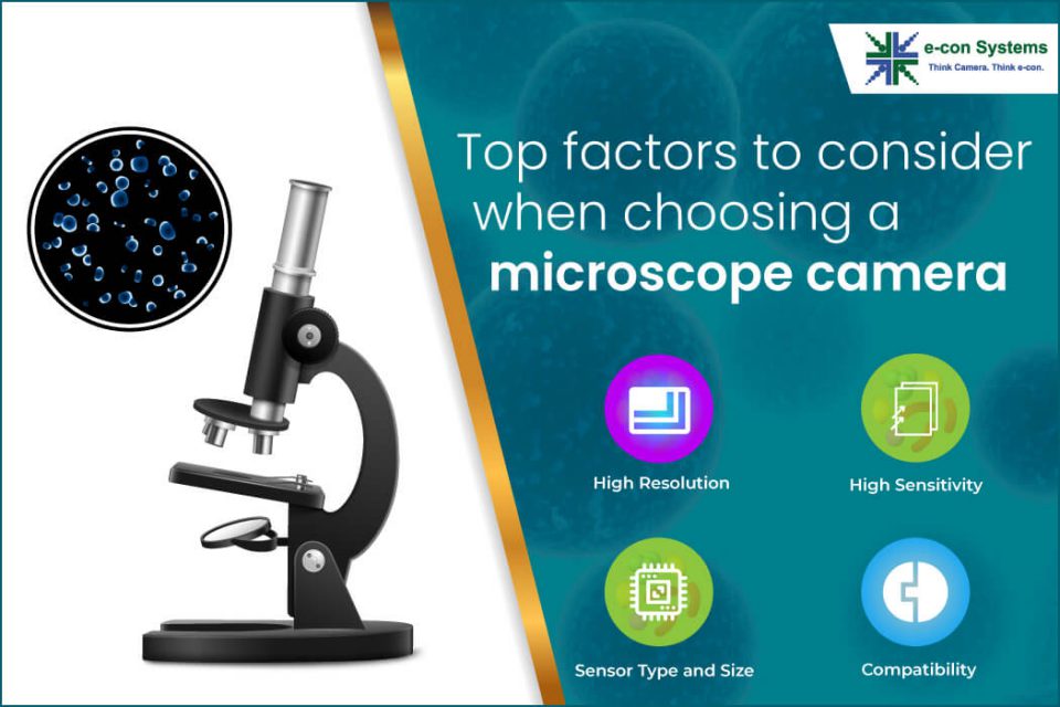 Top factors to consider when choosing a microscope camera