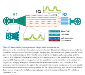 High throughput microfluidic flow cytometer