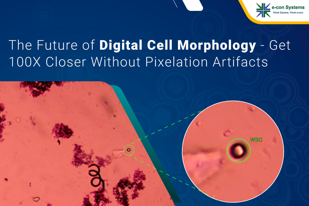 The Future of Digital Cell Morphology Get 100X Closer Without Pixelation Artifacts