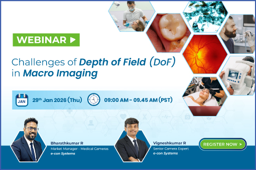 Challenges of Depth of Field in Macro Imaging
