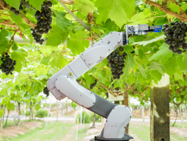 Smart Farming