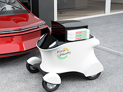 Delivery Robots