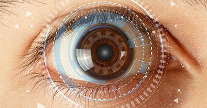 Biometric border control