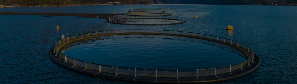 Fish Farming Camera