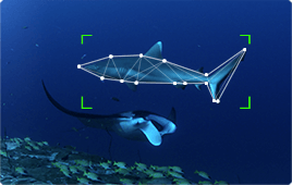 Fisheries Case Study Image