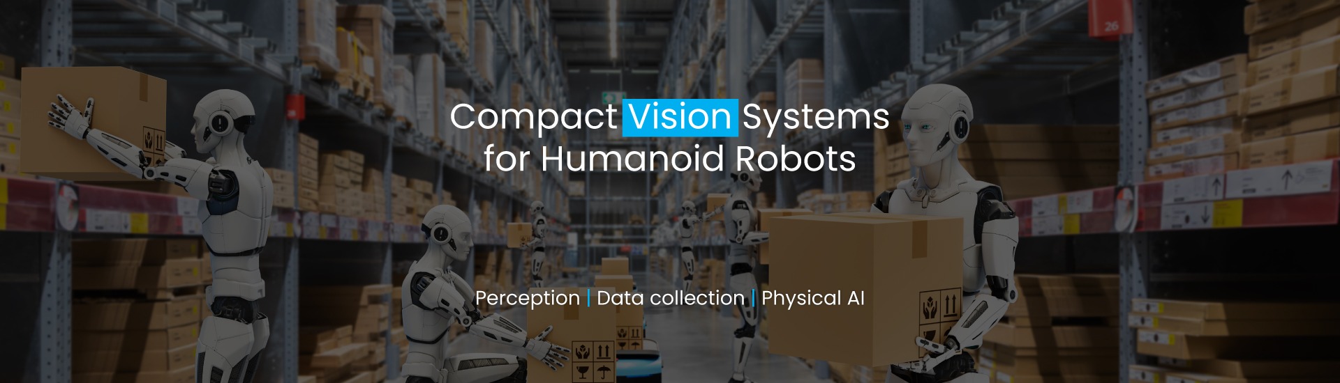 Humanoid robots