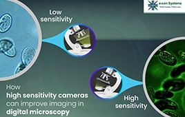 How high sensitivity cameras can improve imaging in digital microscopy