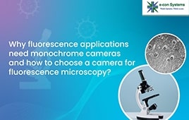 Why fluorescence applications need monochrome cameras - and how to choose a camera for fluorescence microscopy?
