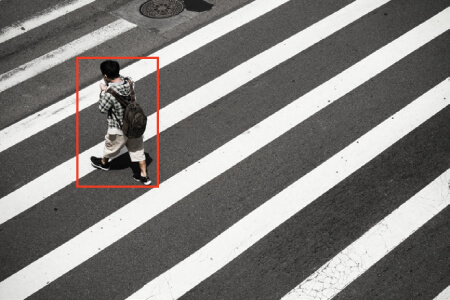 Crosswalk & Pedestrian Safety
