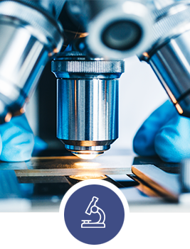 Digital Microscopes