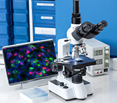 Medical Microscopes